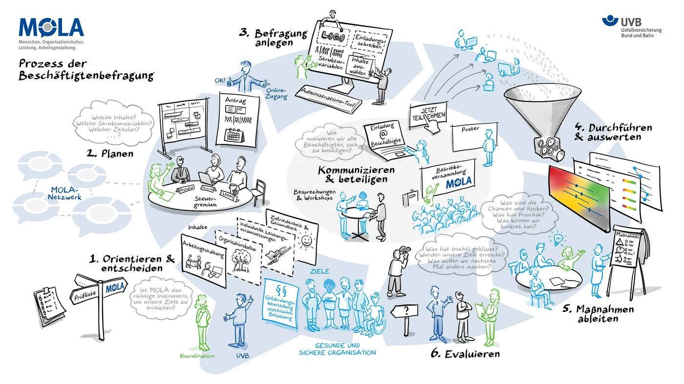 Prozessgrafik Mola-Befragung